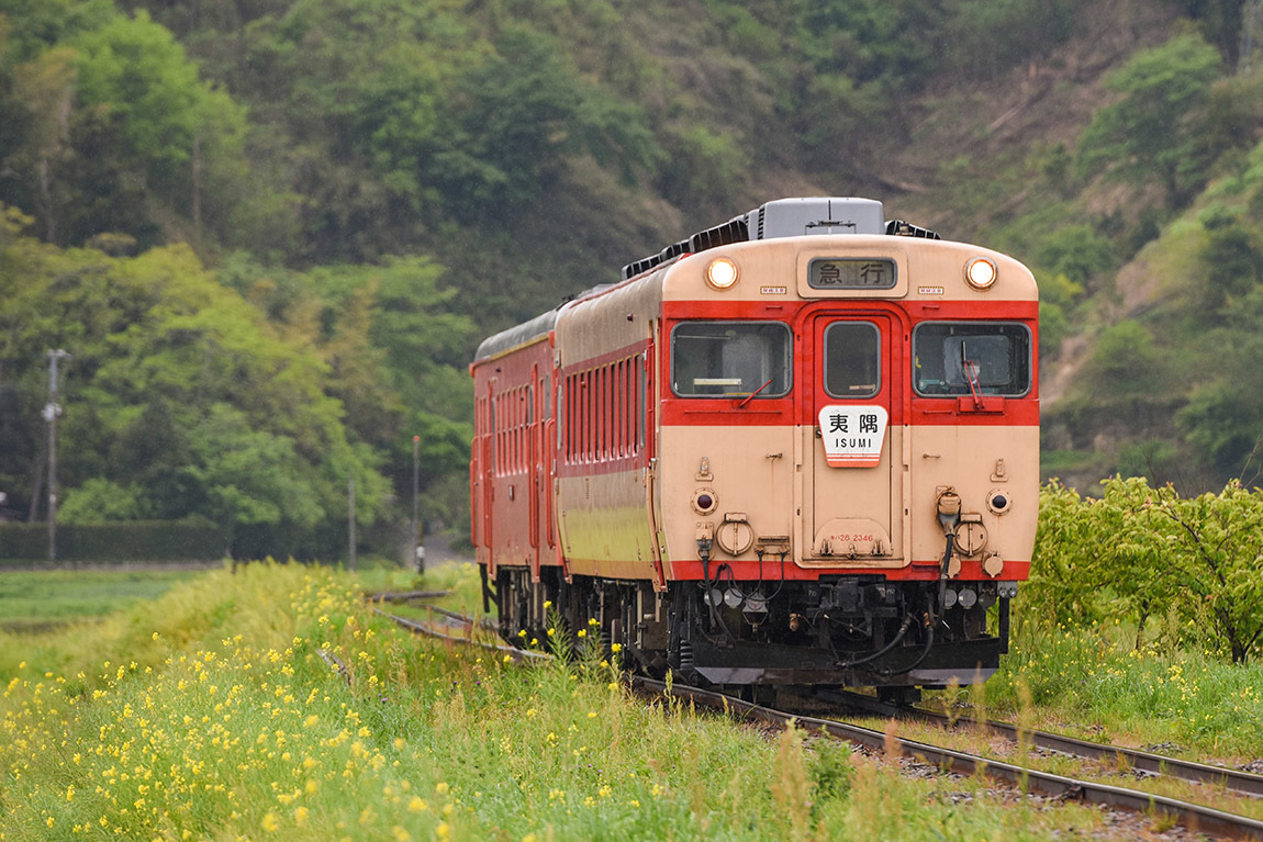 いすみ鉄道いすみ線 キハ28 キハ52 とある地方のc寝台車